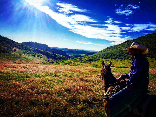 Sylvan Dale Ranch riding